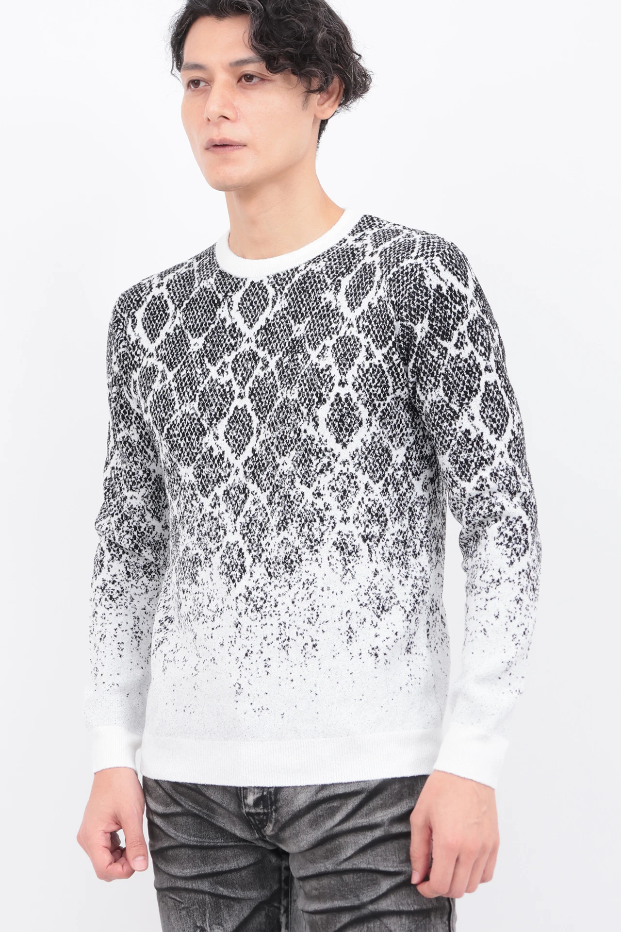 TORNADO MART∴パイソングラデーションモールクルーネック