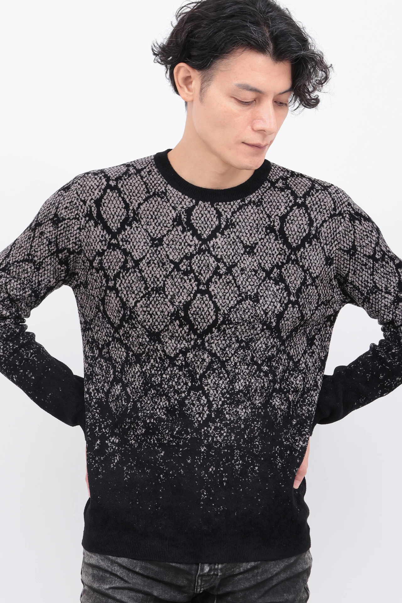 TORNADO MART∴パイソングラデーションモールクルーネック