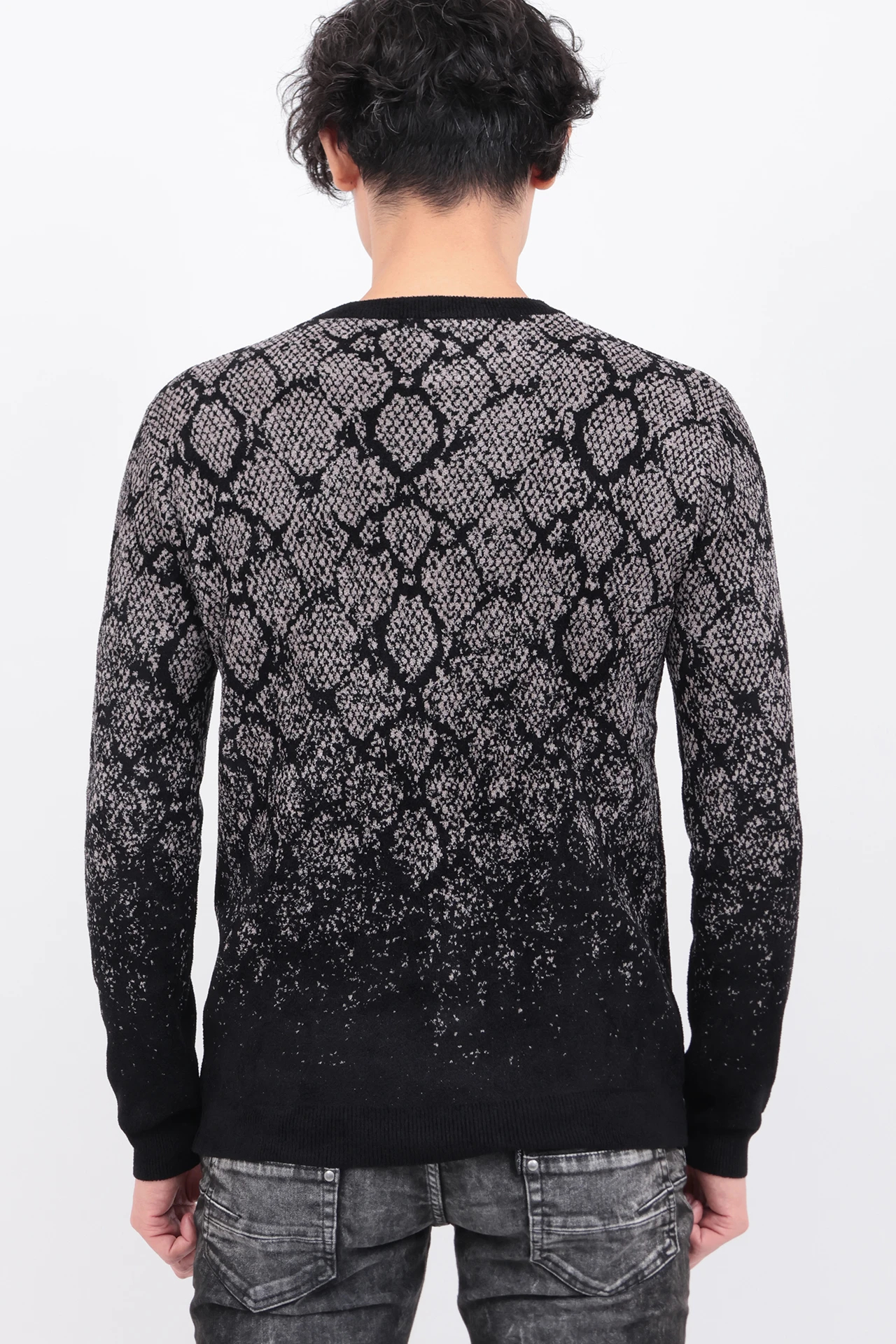 TORNADO MART∴パイソングラデーションモールクルーネック